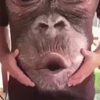 The funniest shirts – perfect for your friends