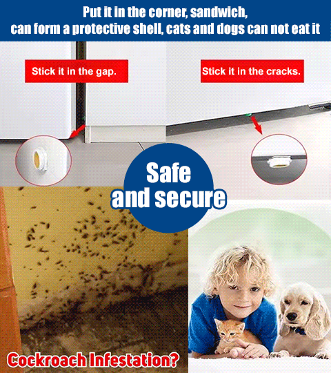 【5 boxes/10 boxes】 Powerful cockroach killing bait patch