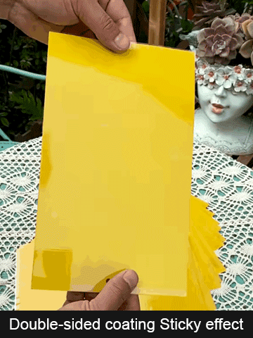 Double-sided Insect Trap and Insecticide Board