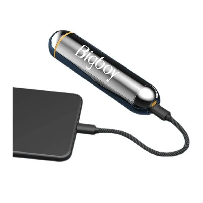 Lurevibe - 2 in 1 Power Bank