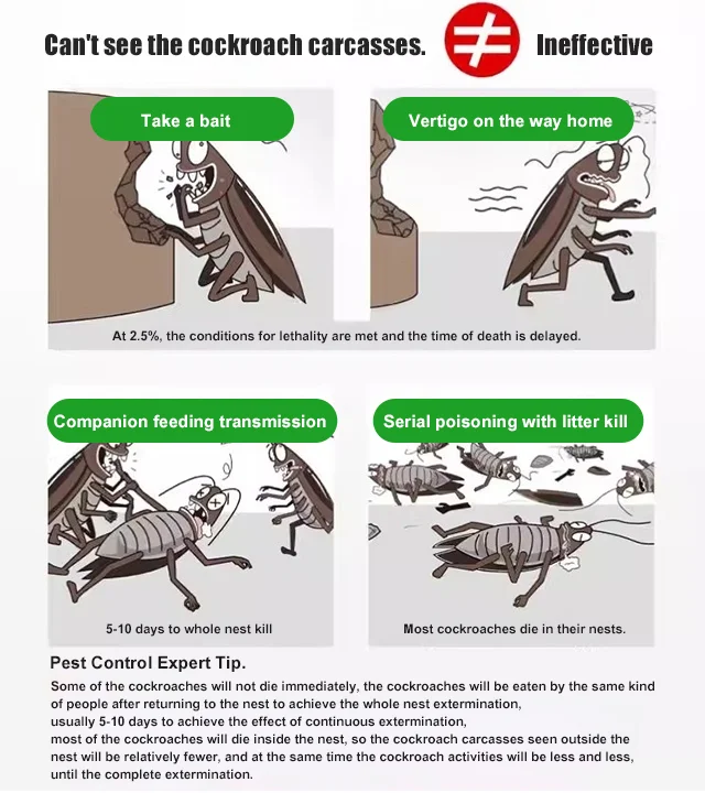 【5 boxes/10 boxes】 Powerful cockroach killing bait patch