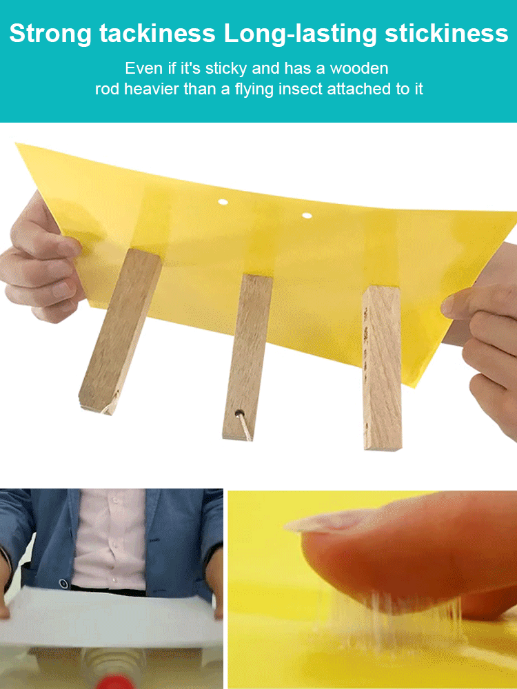 Double-sided Insect Trap and Insecticide Board