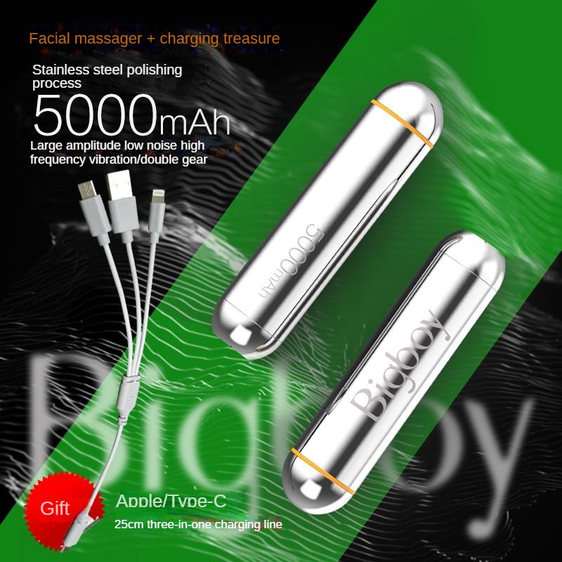 Lurevibe - 2 in 1 Power Bank