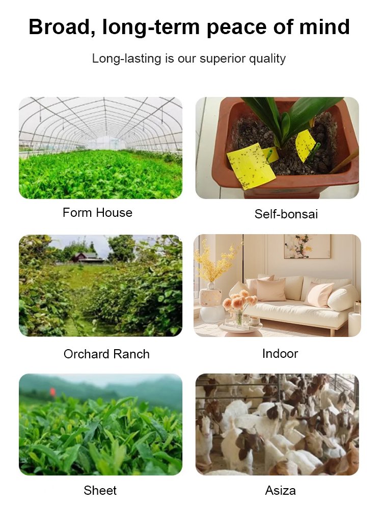 Double-sided Insect Trap and Insecticide Board