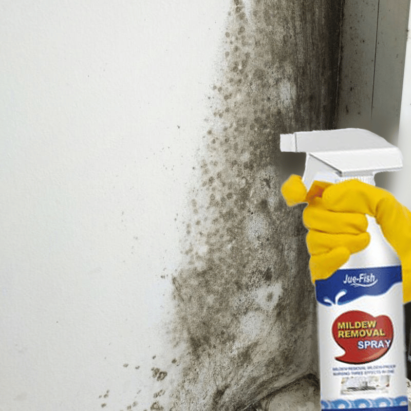 🦠Highly Effective Mould Removal Spray - Prevents Mould Regrowth🦠