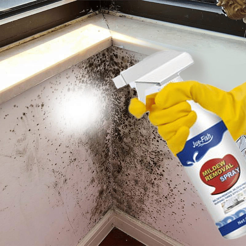 🦠Highly Effective Mould Removal Spray - Prevents Mould Regrowth🦠