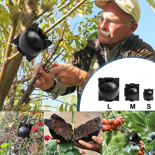 🔥Summer Hot Sale 49% OFF - 🌱Plant Root Growing Box