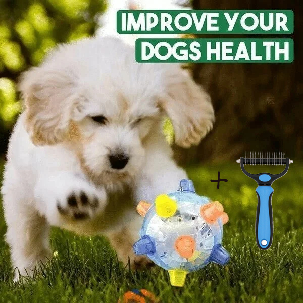 💥Hot Sale💥Jumping activation ball for dogs and cats