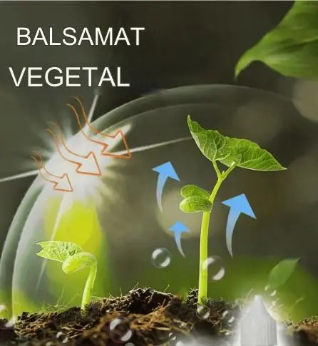 🌱🌱【Buy 1, Get 1 Free】Plant and Flower Activator Liquid Solution