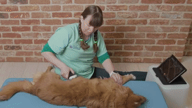 1705459476904112.gif 动4.gif