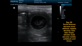 1705459521179466.gif 动1.gif