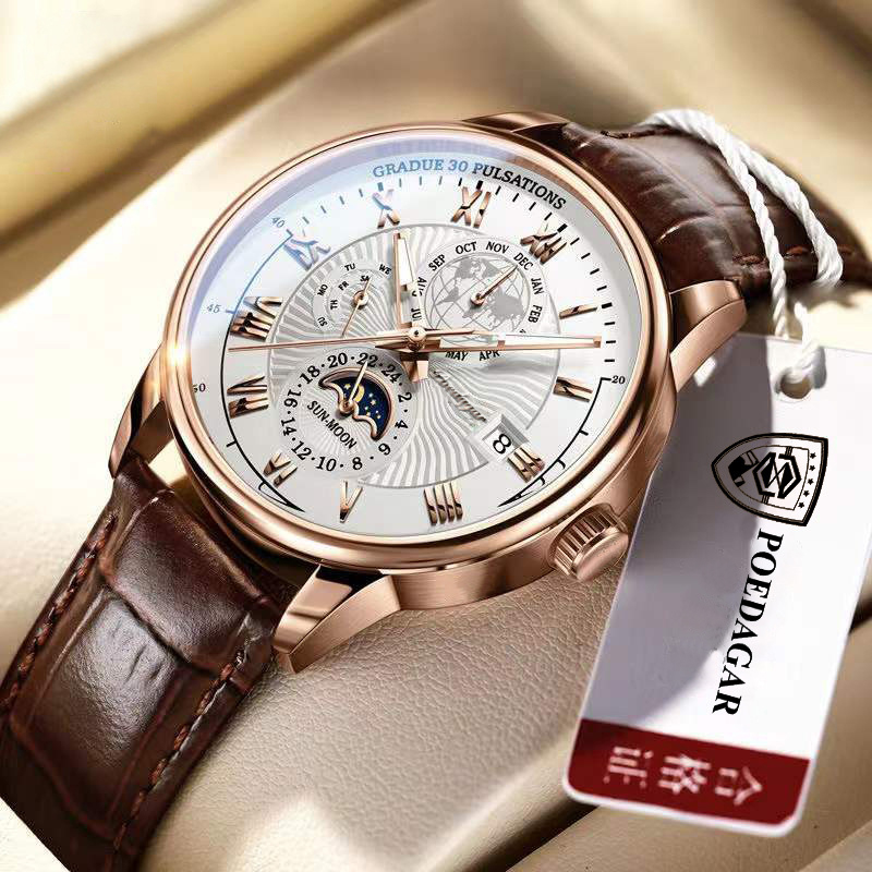 POEDAGAR Brand Swiss Official Certification Waterproof Luminous Men's Mechanical Quartz Watch