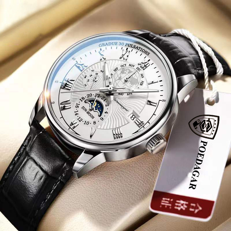 POEDAGAR Brand Swiss Official Certification Waterproof Luminous Men's Mechanical Quartz Watch