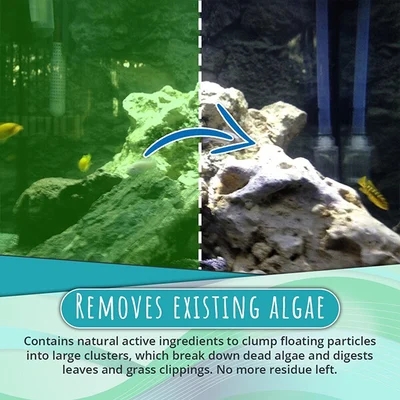 🔥Limited Time Sale 48% OFF🎉NEW Algae Repellent Agent