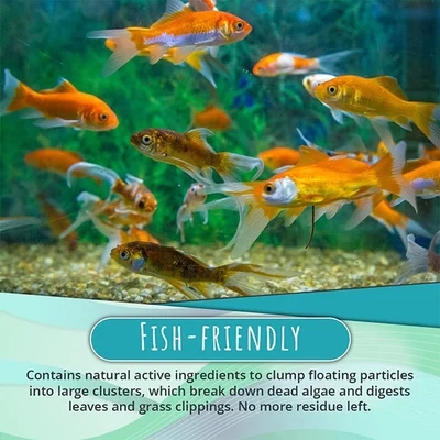 🔥Limited Time Sale 48% OFF🎉NEW Algae Repellent Agent