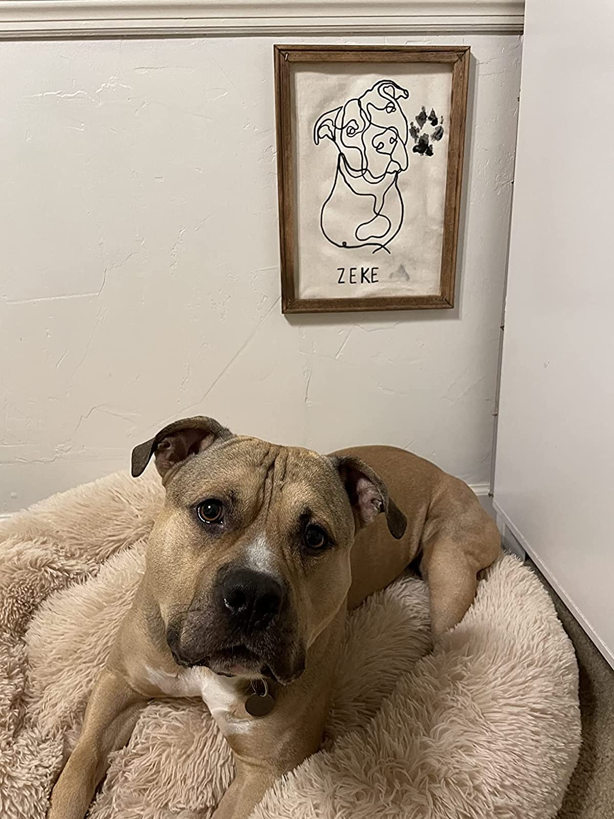 💖Early Mother's Day Sale - 🎁-Comfy Calming Dog/Cat Bed