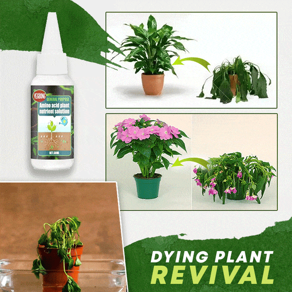 🌳2023The Best—Plant Nutrient Solution