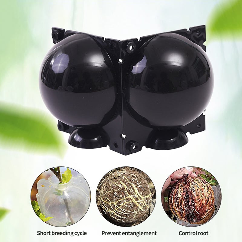 🔥Summer Hot Sale 49% OFF - 🌱Plant Root Growing Box