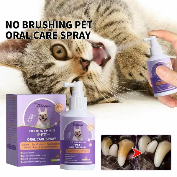 🔥Teeth Cleaning Spray for Dogs & Cats