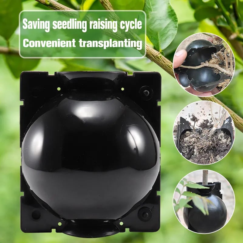 🔥Summer Hot Sale 49% OFF - 🌱Plant Root Growing Box