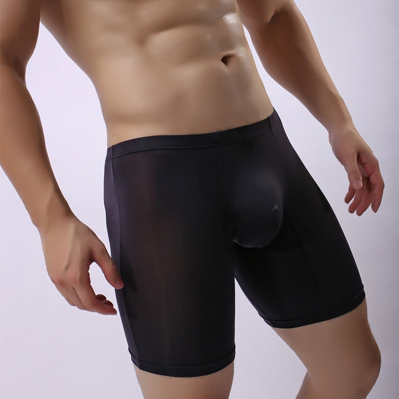 (🔥Summer Hot Sale) - Men's Boxer Briefs Breathable Ice Silk Sports-Inspired Underwear
