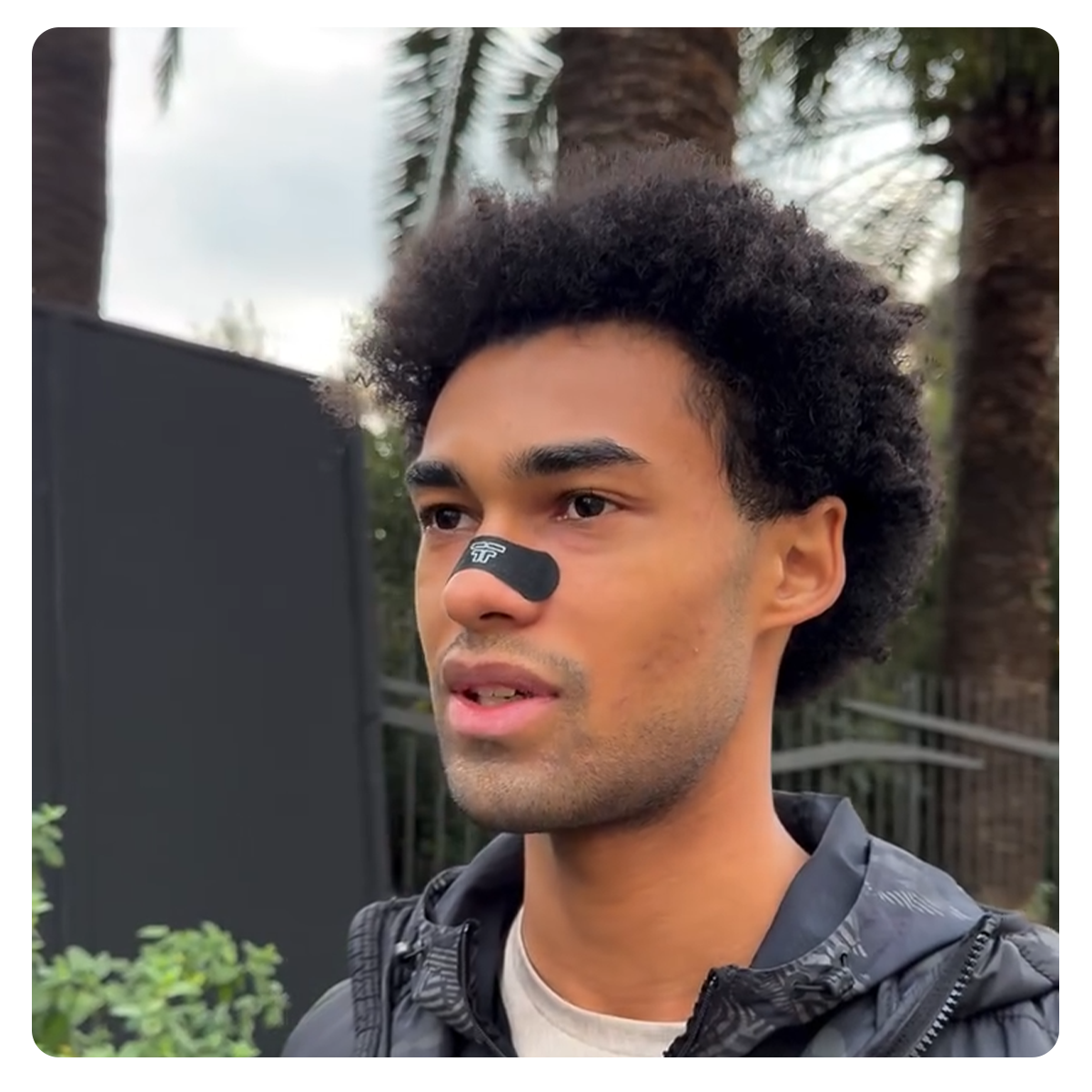 FreshFlow Nasal Strips