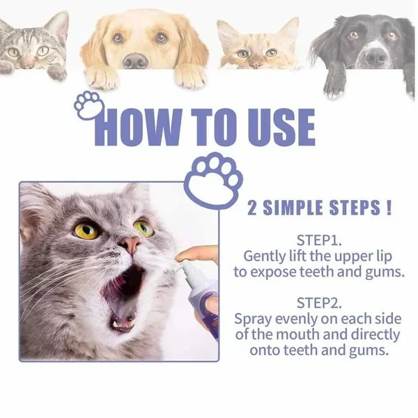 🔥Teeth Cleaning Spray for Dogs & Cats