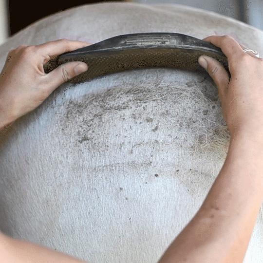 6 IN 1 SHEDDING GROOMING MASSAGE BRUSH-🔥Buy More,Save More!🔥