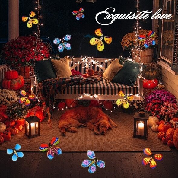 ✨Huge Sale - 49% OFF🦋Magic Flying Butterfly - The Best Surprise Gift🎁