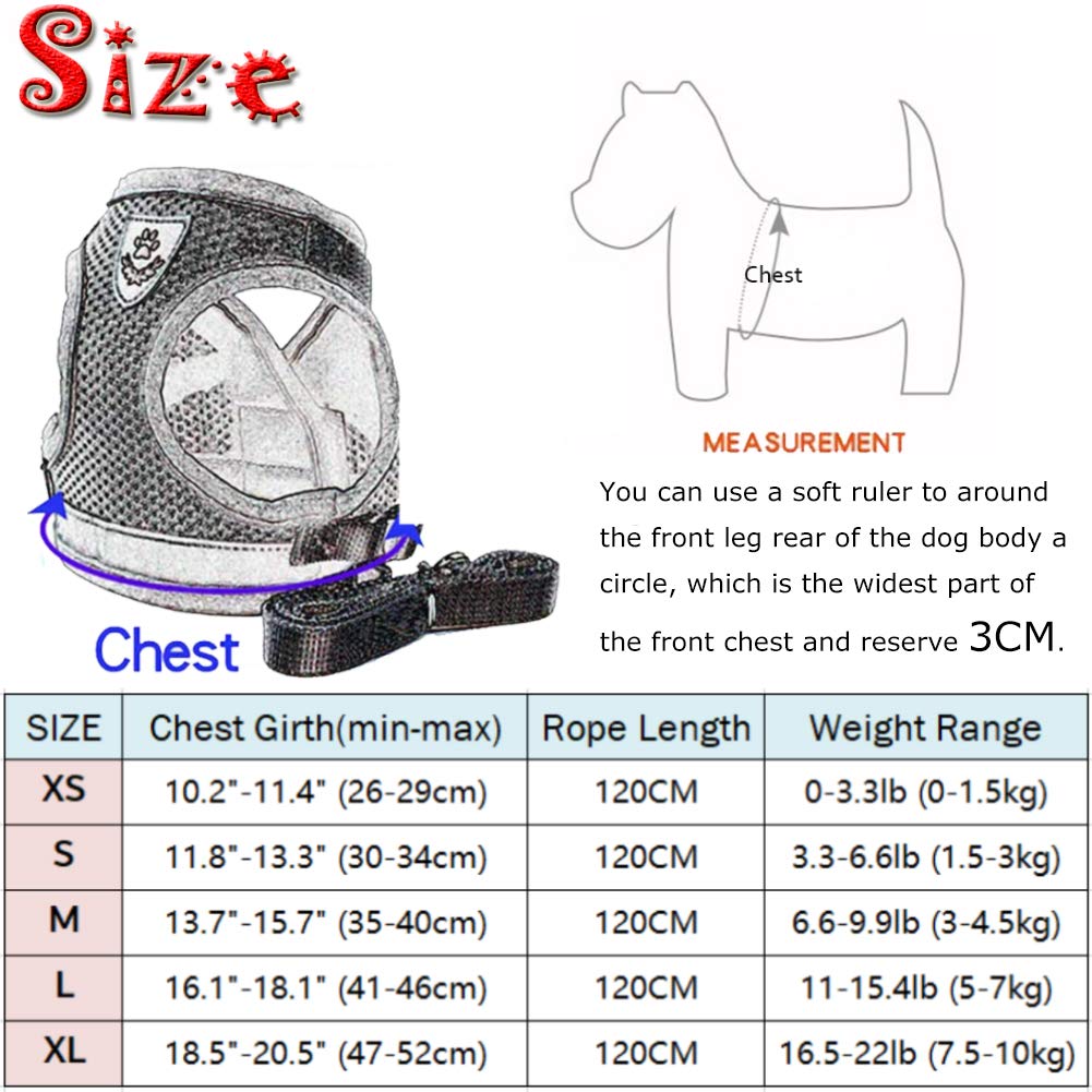 Adjustable Breathable Luminous Pet Vest Harness and Leash Set