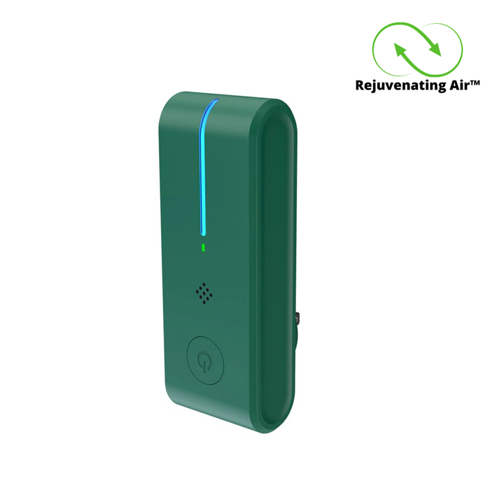 Portable Home Air Purifier 