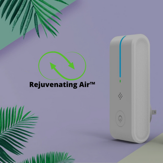 Portable Home Air Purifier 