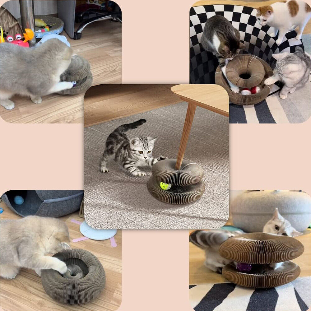 (Last Day Promotion 50% OFF!)-⚡ Magic Cat Scratching Board 🔥