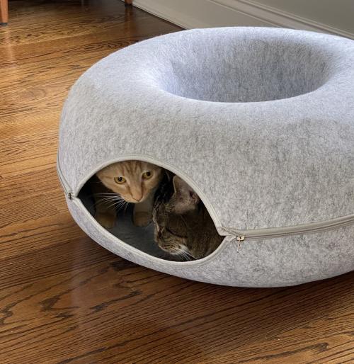 MeowMaze Bed