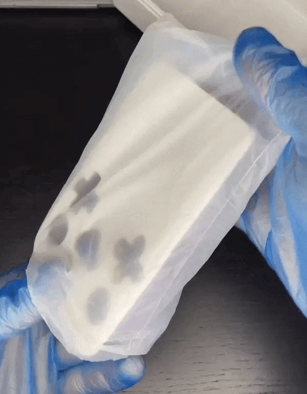 ELITE PERFORMANCE STORE LLP