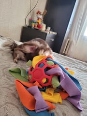 DOG CHEW TOY-🔥BUY 2 FREE SHIPPING🔥