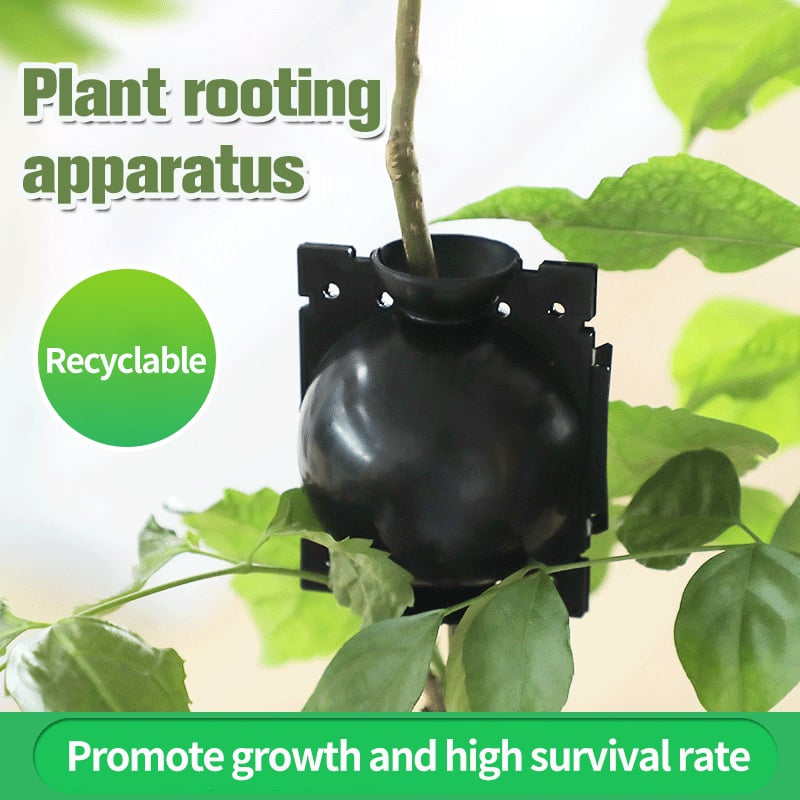 🔥Summer Hot Sale 49% OFF - 🌱Plant Root Growing Box