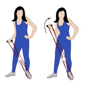 Pilates Reformer Bands V2