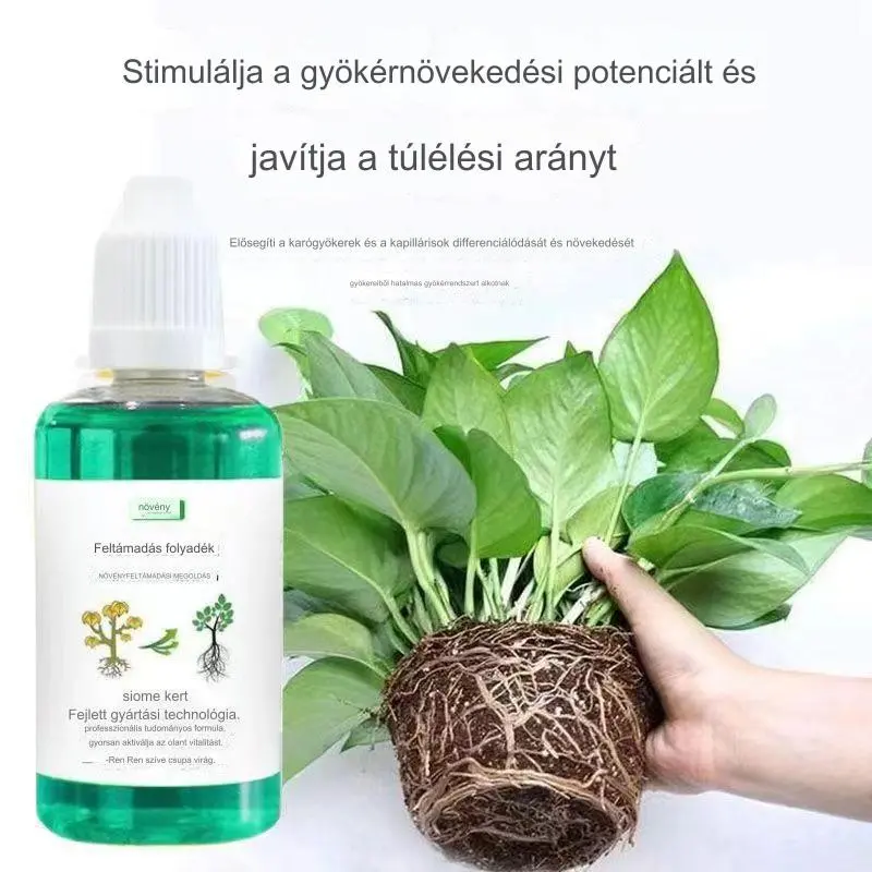 🌱🌱【Buy 1, Get 1 Free】Plant and Flower Activator Liquid Solution