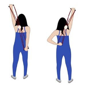 Pilates Reformer Bands V2