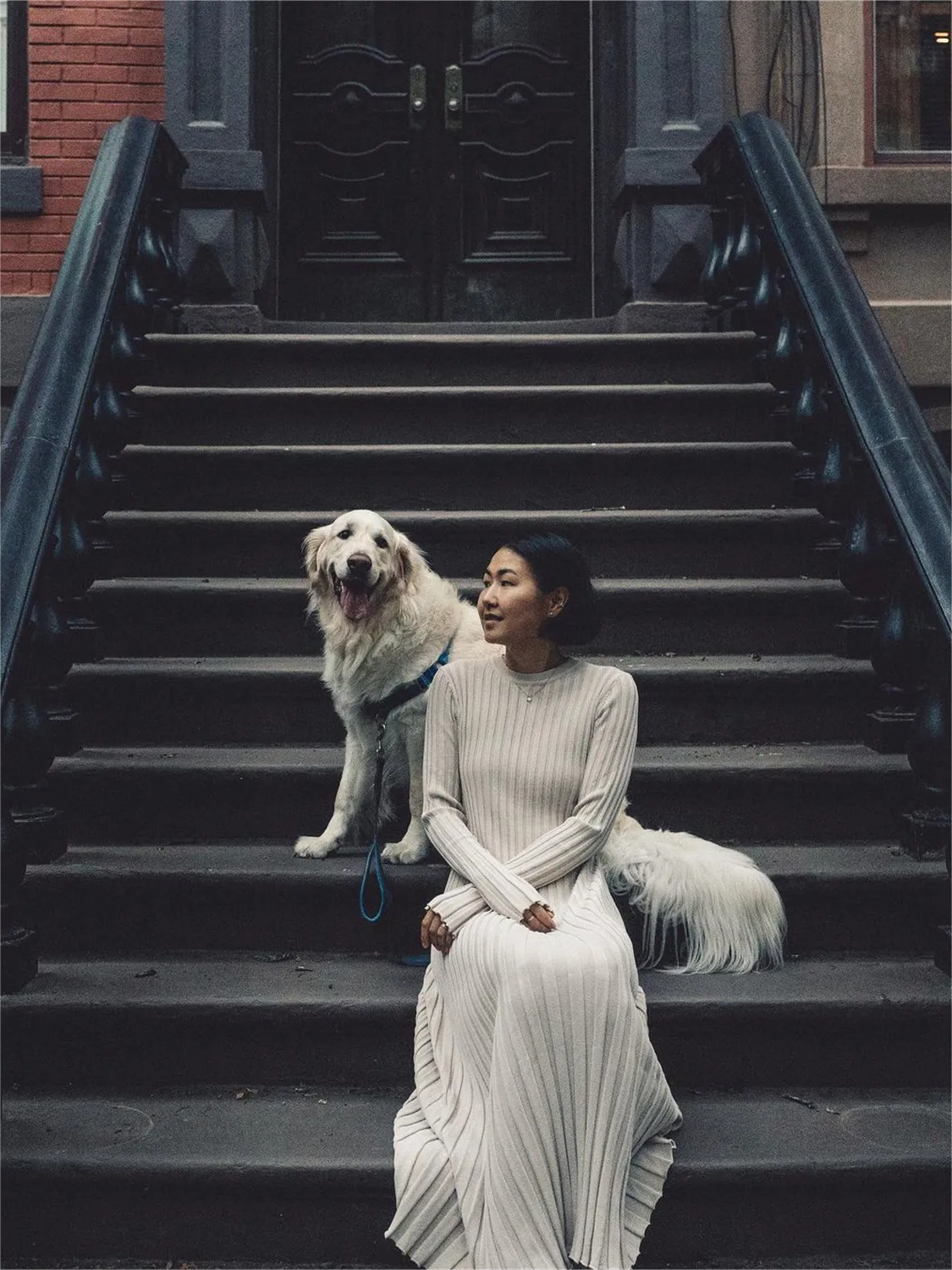 2023 Fall New Sleeved Knit Midi Dress (Buy 2 Free Shipping)