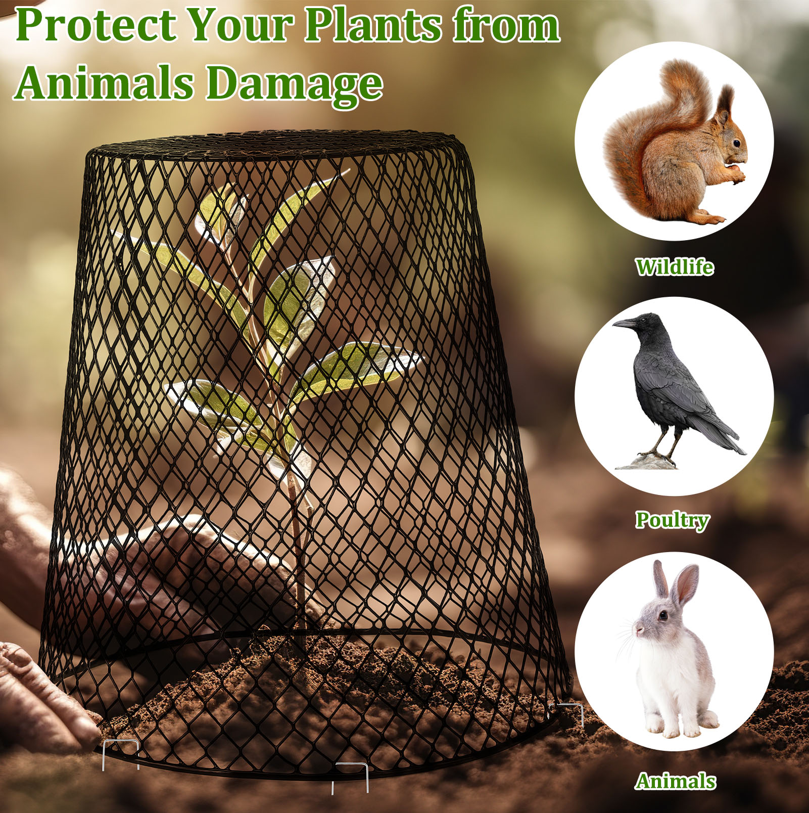 topjuju 10 Pack Wire Cloche Plant Covers, 9.13x9.13 inch Garden Cloche Plant Protectors From Animals with Stakes Labels, Rustproof Thicker Wire Cages for Keeping Bunnies Chicken Squirrels Birds Out