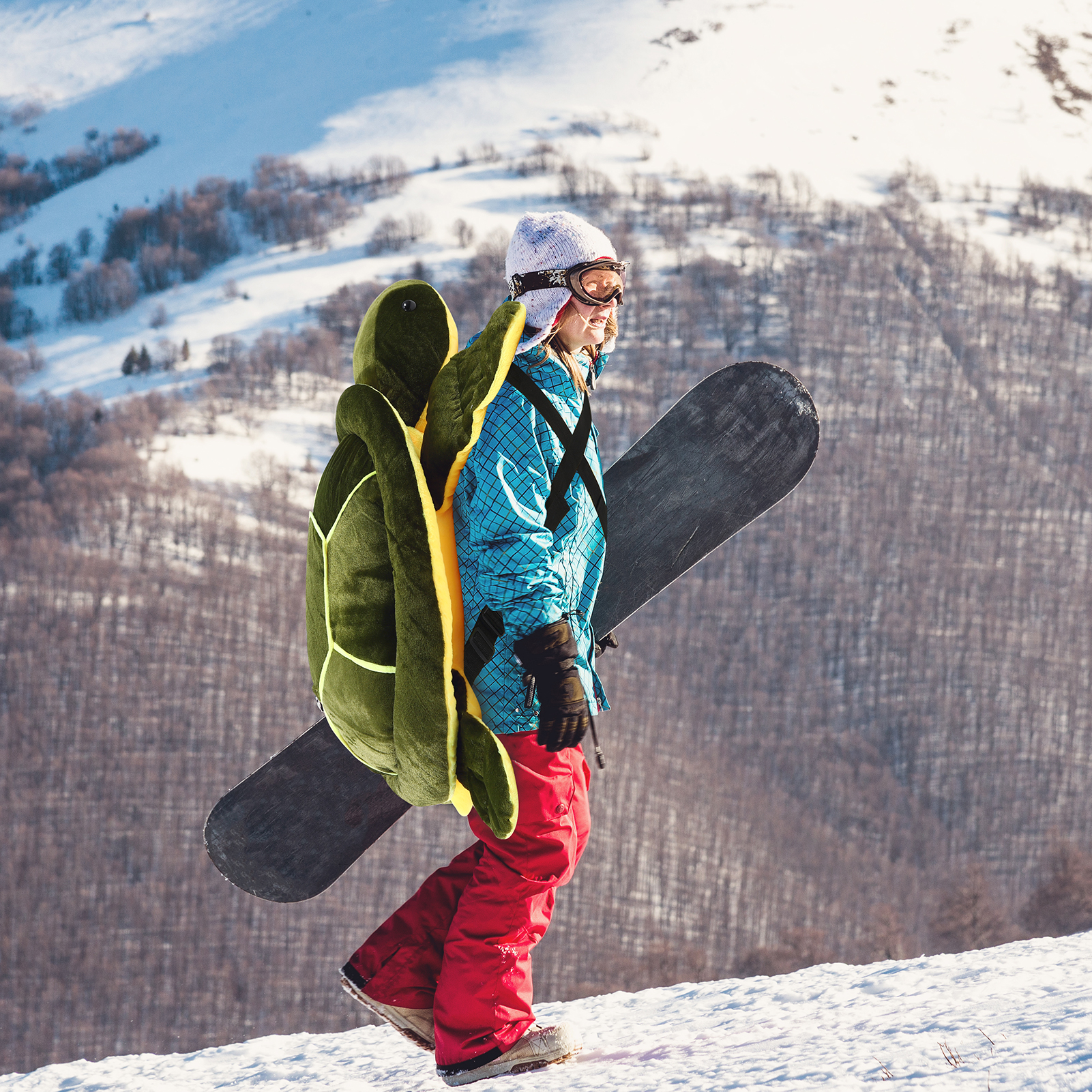 Bocaoying Large Turtle Butt Pad Snowboarding, Cute Protection Hip Butt Pad Protective Gear for Skiing, 43 inches Snowboard Padded, Turtle Hip Tailbone Protection for Adults Women Men Ski Ice Skating