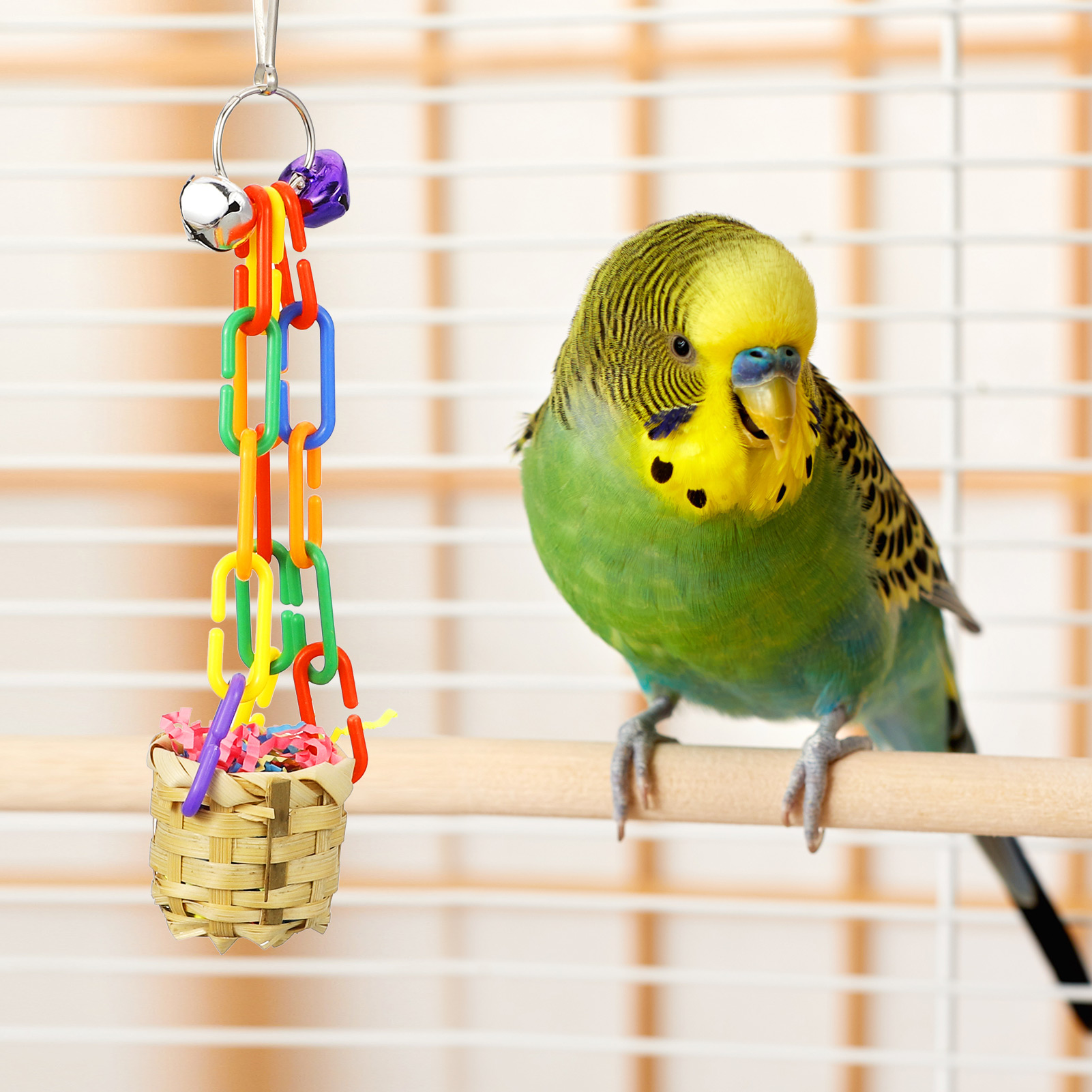 Armscye 4 Pack Bird Shredding Toys, Parrots Chewing Hanging Foraging Toys Parrots Cage Shredder Toys Birds Budgies Cage Accessories for Small Parakeets, Conures, Love Birds, Finches