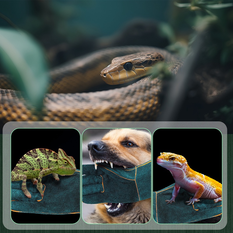 Armscye 23.6 Inches Leather Animal Handling Gloves, Multipurpose Pet Glove for Grabbing Reptile, Grooming, Puncture & Scratch Resistant, Bite Proof for Cat Dog Bird Falcon Livestock Snake