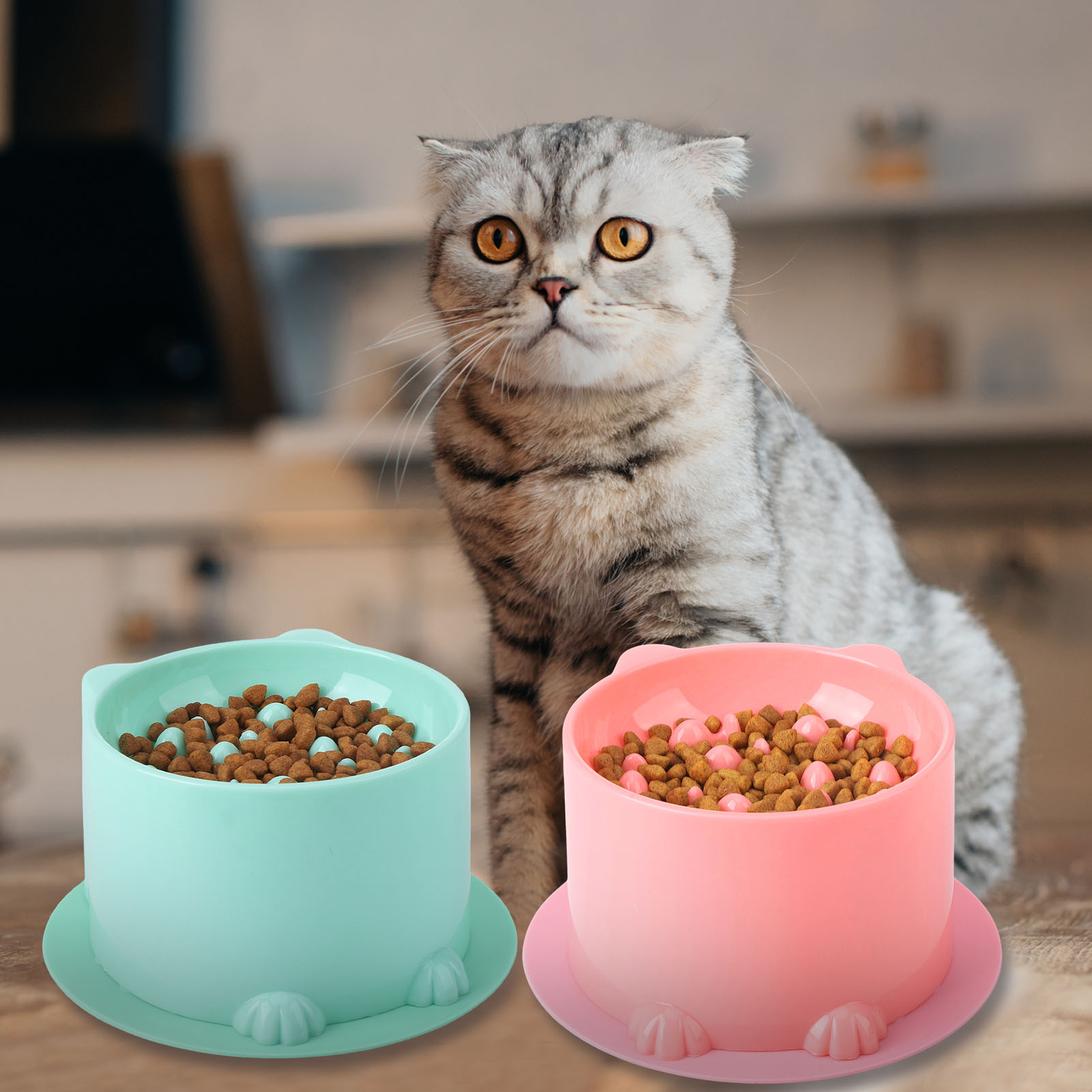 Abaima 2 Pcs Slow Feeder Cat Bowls with 2 Pack Non-slip Mat, Anti Choking Elevated Food and Water Bowls, Plastic Tilted Cat Food Bowls, Backflow Prevention, Suitable for Small Pets