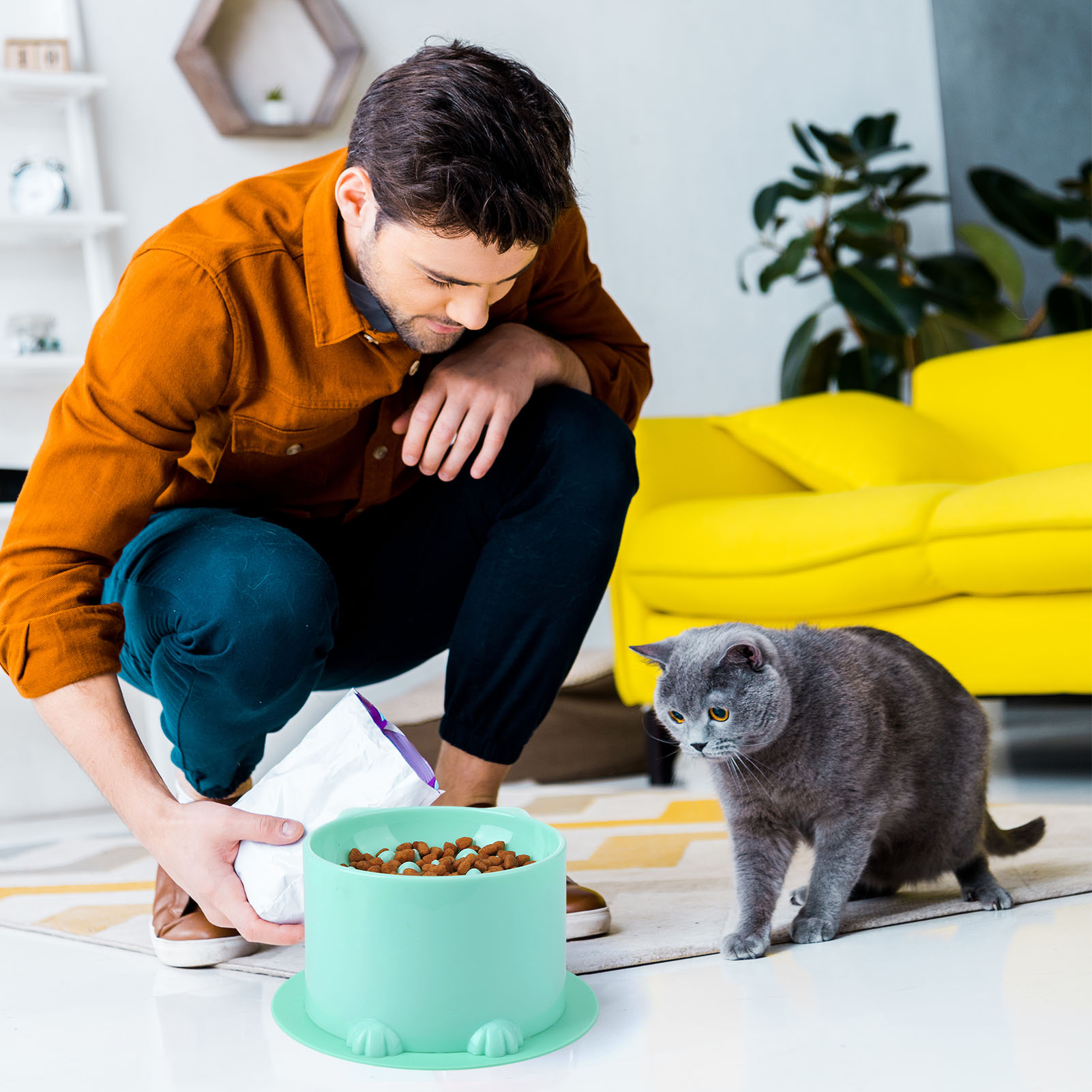 Abaima 2 Pcs Slow Feeder Cat Bowls with 2 Pack Non-slip Mat, Anti Choking Elevated Food and Water Bowls, Plastic Tilted Cat Food Bowls, Backflow Prevention, Suitable for Small Pets