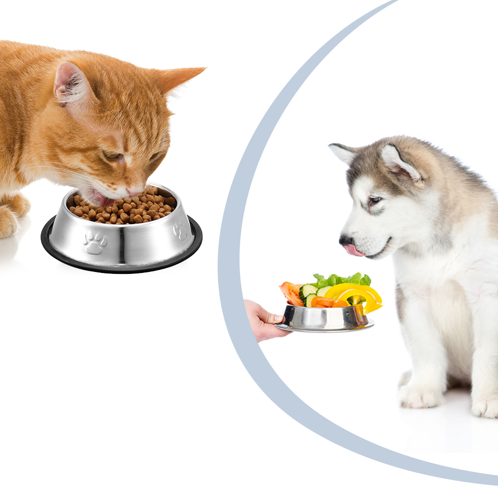 Abaima 3 Pack Stainless Steel Cat Food Bowls, Non Slip Cat Water Bowls, Metal Medium Pet Food Bowls, Non Skid Cute Bowls with Rubber Bottom for Cats