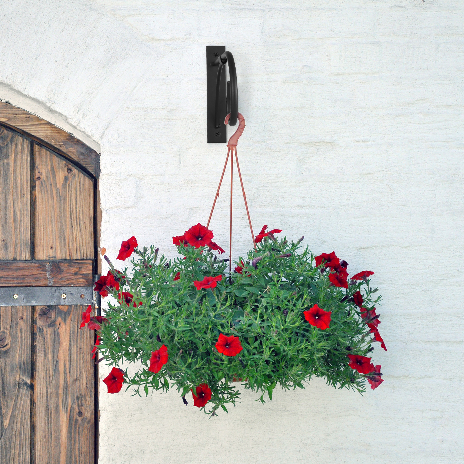 topjuju 2 Pack Plant Hanging Brackets, 11 Inch Iron Hanging Basket Bracket, Weather-Resistant Outdoor Plant Hooks for Hanging Plant Lantern Windchime Birdhouse, Screw Included