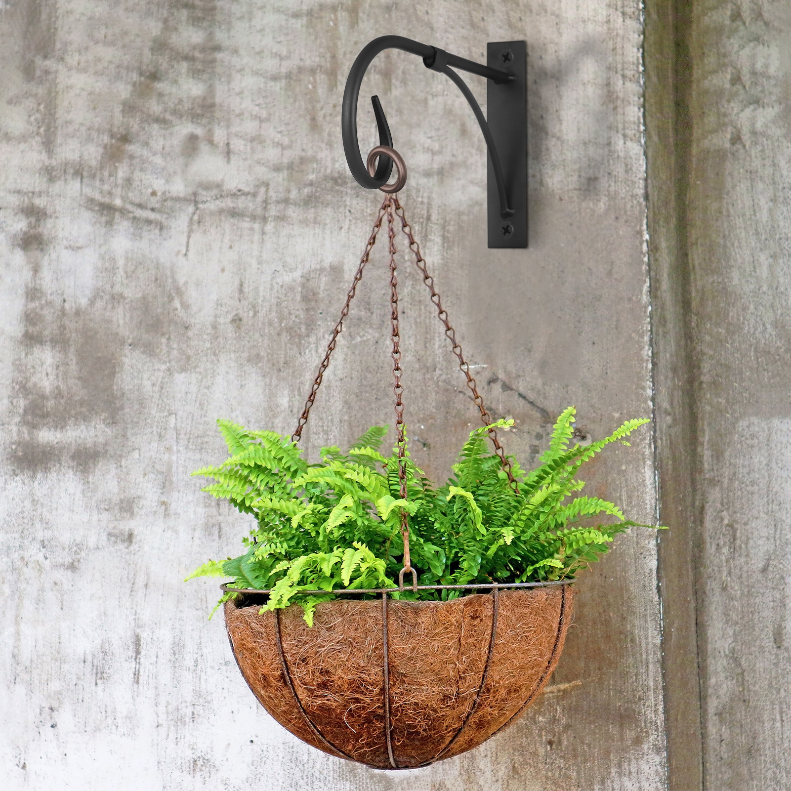topjuju 2 Pack Plant Hanging Brackets, 11 Inch Iron Hanging Basket Bracket, Weather-Resistant Outdoor Plant Hooks for Hanging Plant Lantern Windchime Birdhouse, Screw Included